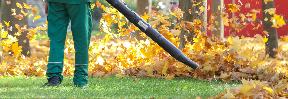 Autumn leaves commercial cleaning