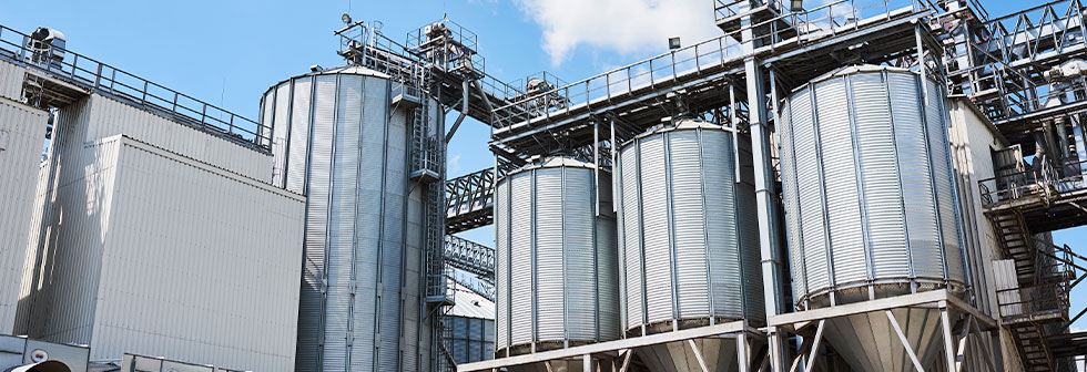 Silo Cleaning Services Near Me