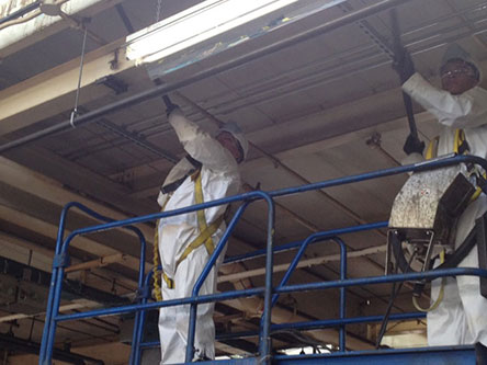Exhaust System Cleaning