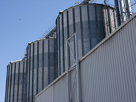 Silo Cleaning 